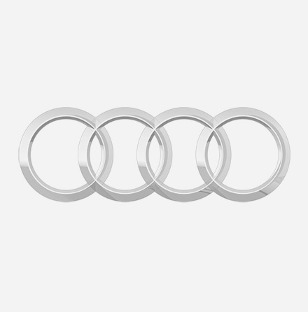 Audi Model Adapted Fuel Rails