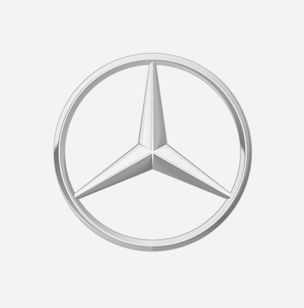 Mercedes Model Adapted Fuel Rails